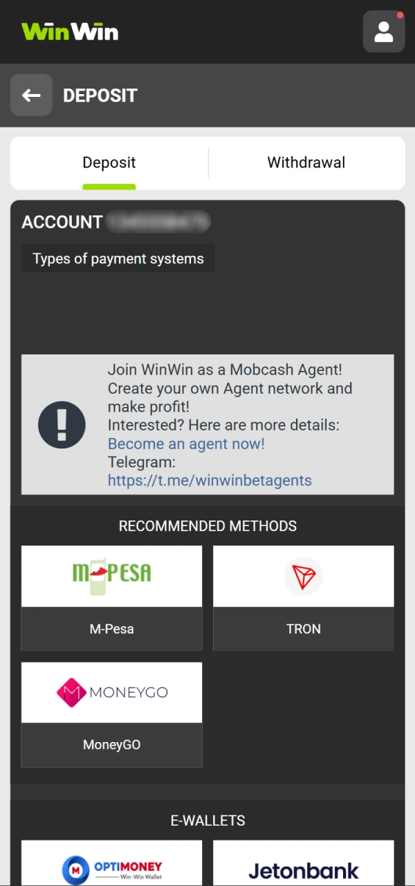 Choose your preferred payment category on the left panel at WinWin.